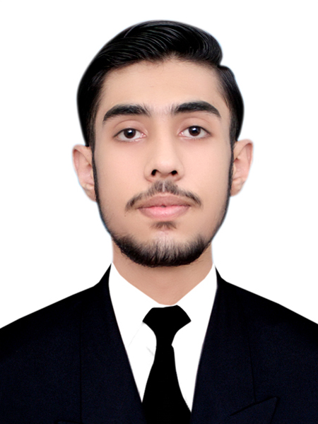 Syed Ali Hussain — AI Engineer
